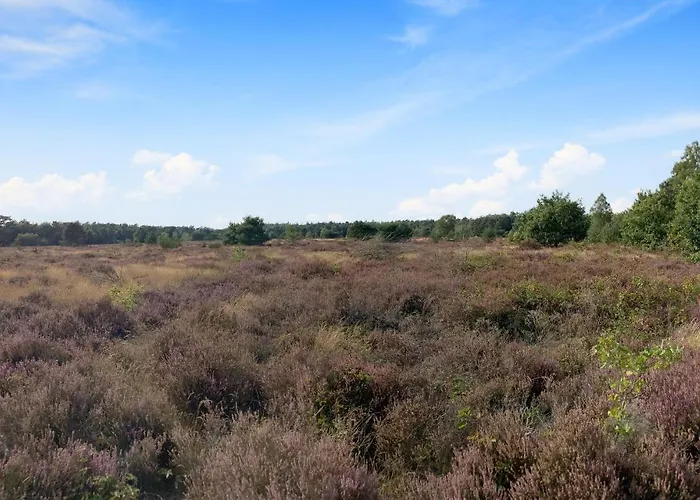 Stunning In With Kitchen *