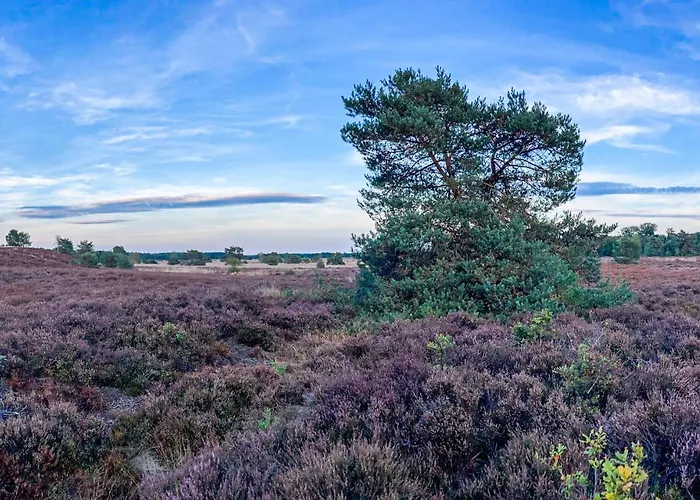 Semesterbostad Stunning In With Kitchen